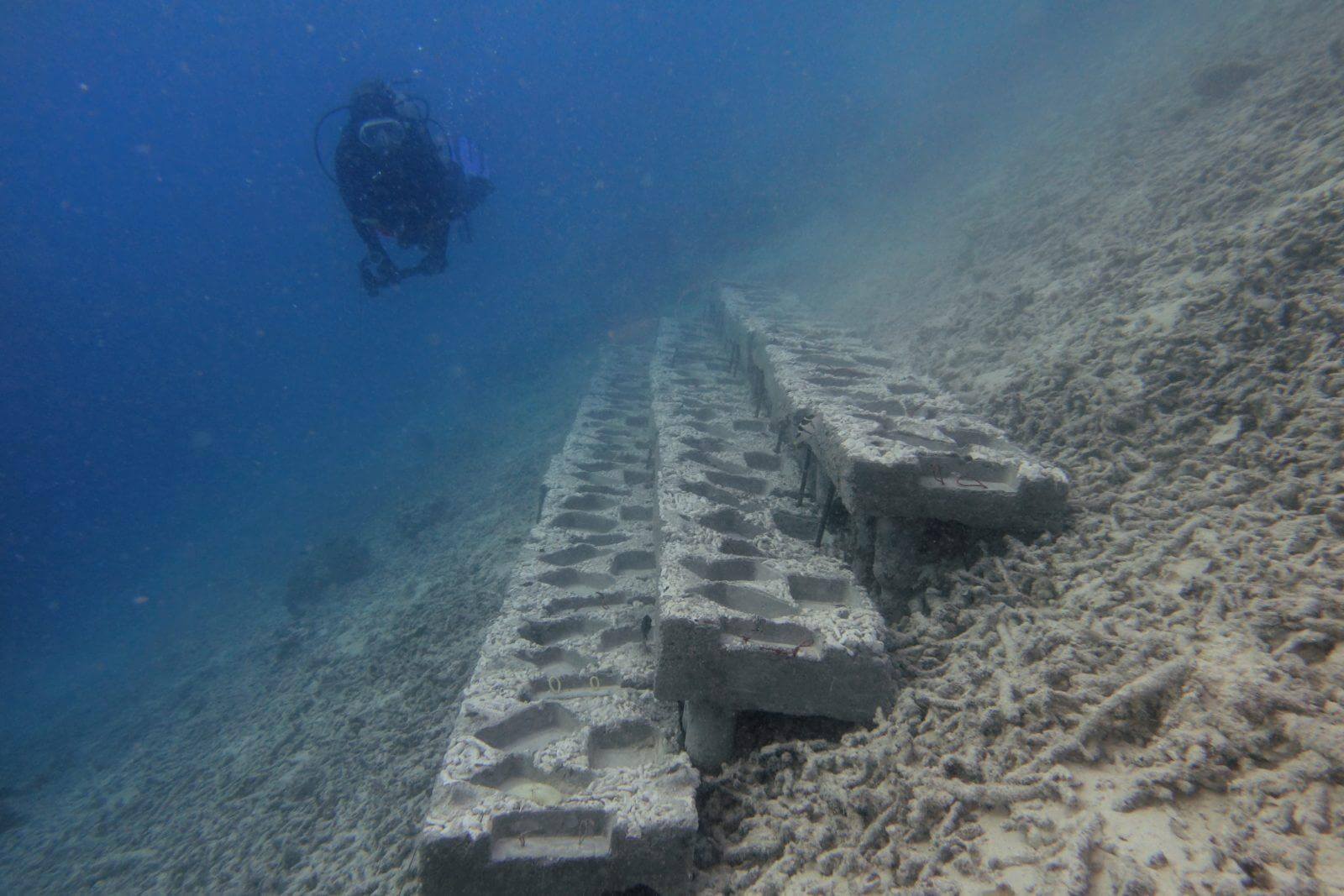 Steep rubble slope shortly after placement of the Step Reef Units