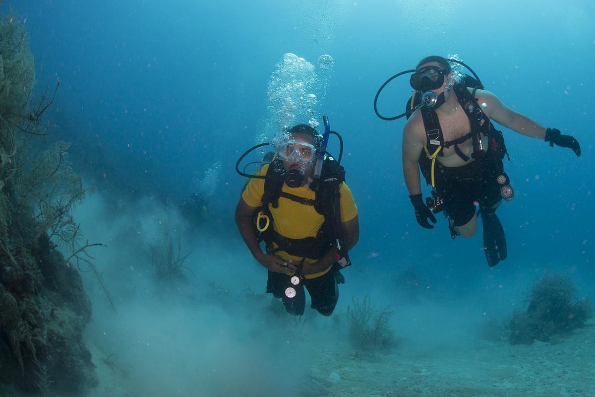 Dive Buddy