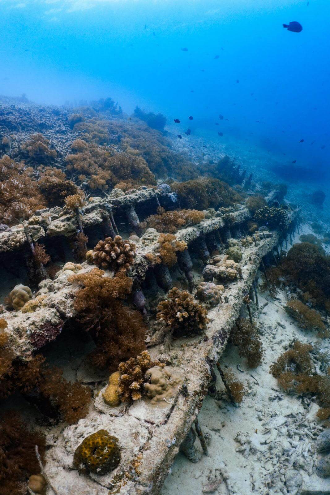 example of placed step reef units completed