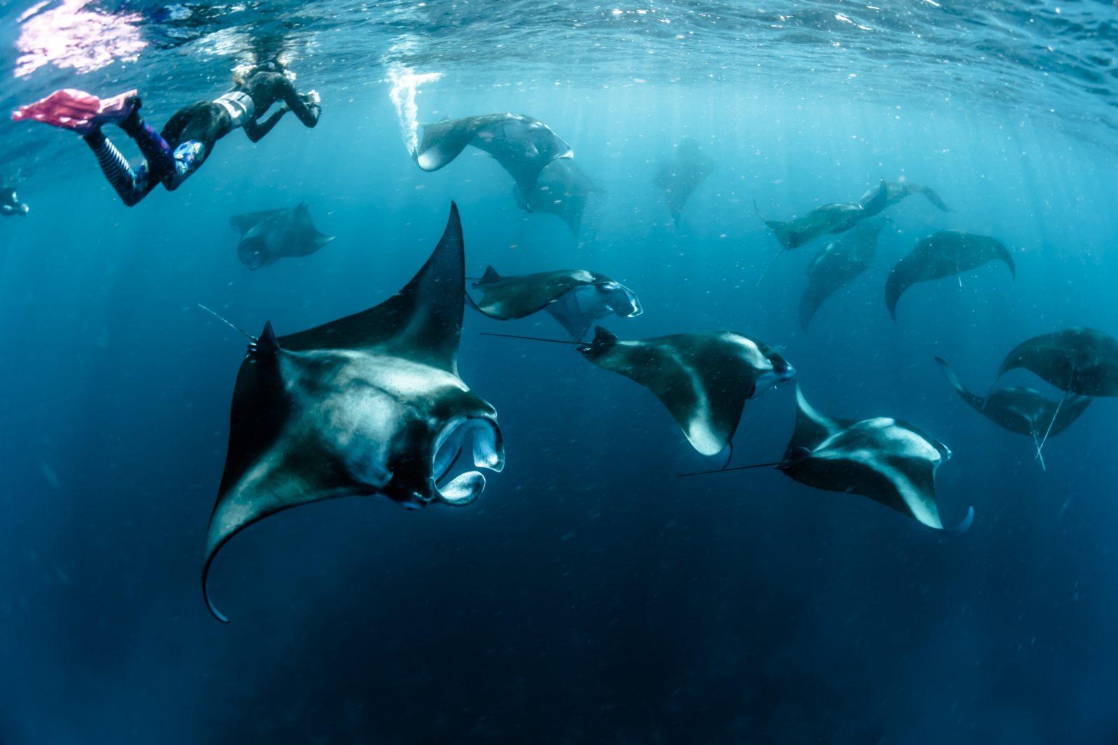Komodo to Alor an Unforgettable Journey Part1 6 Komodo to Alor an Unforgettable Journey Part1