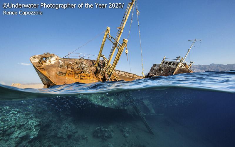 Underwater Photographer of the Year Underwater Photographer of the Year
