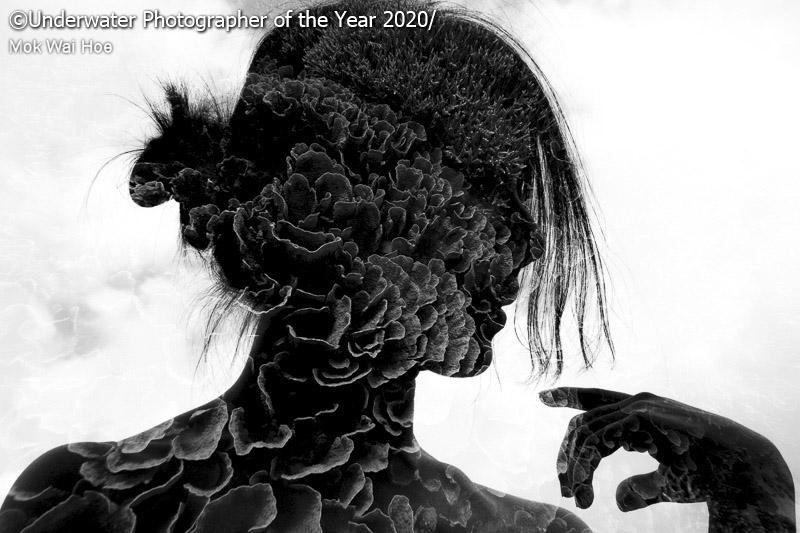 Underwater Photographer of the Year Underwater Photographer of the Year