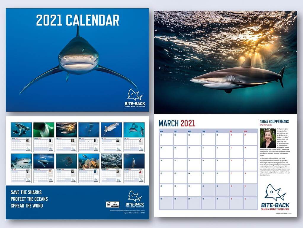 Bite Back 2021 Calendar