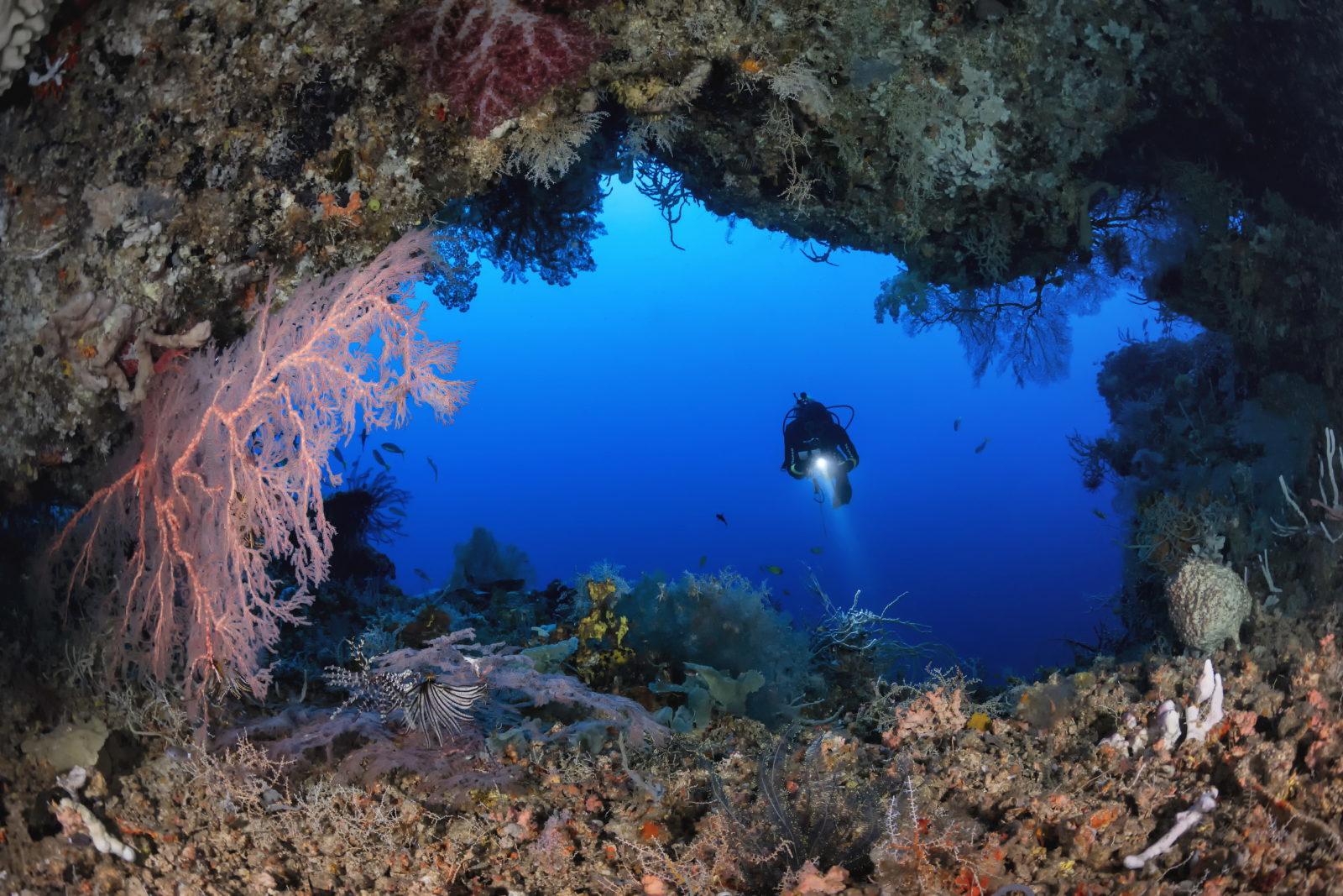 SCUBA DIVING Papua New Guinea 12 Kimbe Bay