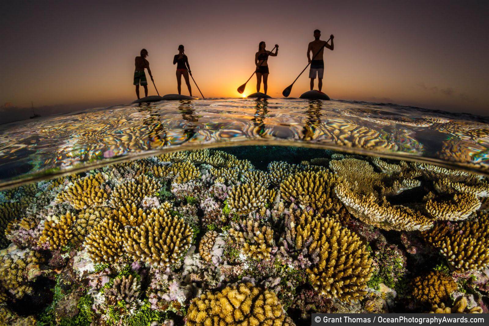 Paddle boarders float above a reef at sunset. "This image is one of a series of images aimed at demonstrating the innate bond humans have with the ocean, whether we are physically in it or just floating on the surface," says photographer Grant Thomas