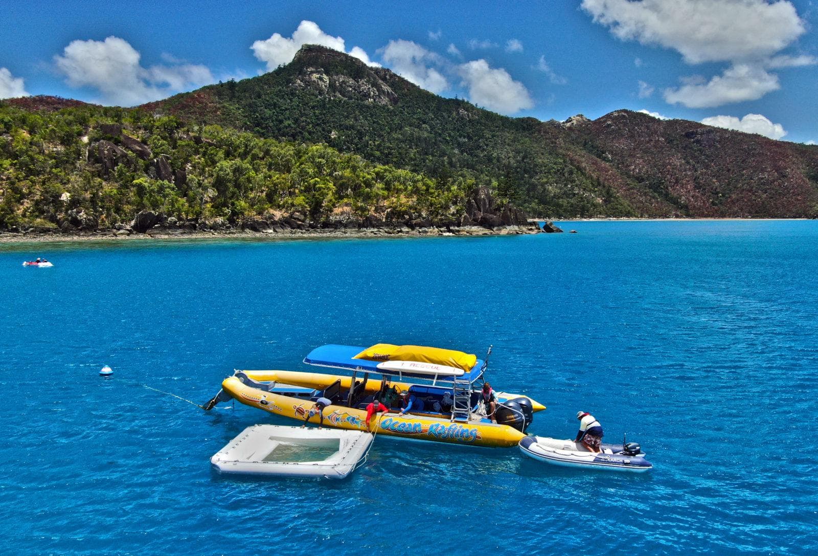 Tourism operators with larval pool. Credit Great Barrier Reef Foundation