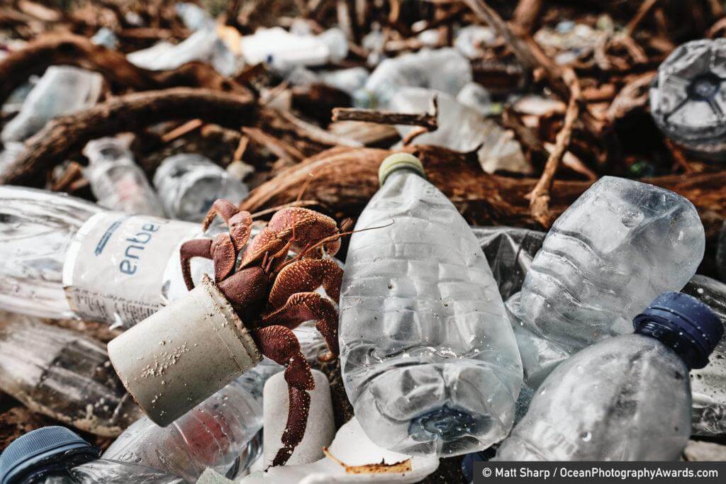 A hermit crab crawls atop a pile of plastic in a shell made from manmade waste. Photographed on the small island of Thanburudhoo in the Maldive, photographer Matt Sharp