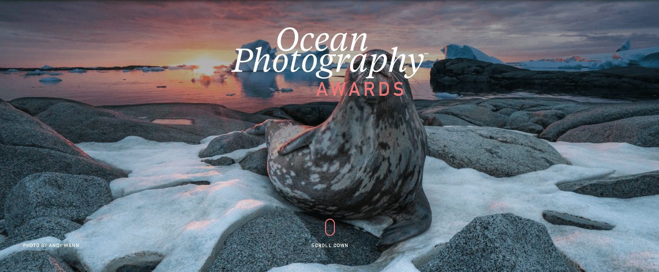 ocean photography awards