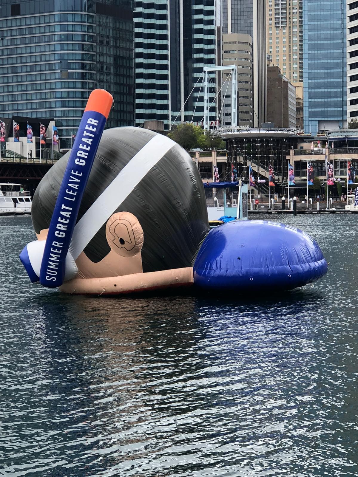 Giant Cairns snorkeller arrives in Sydney
