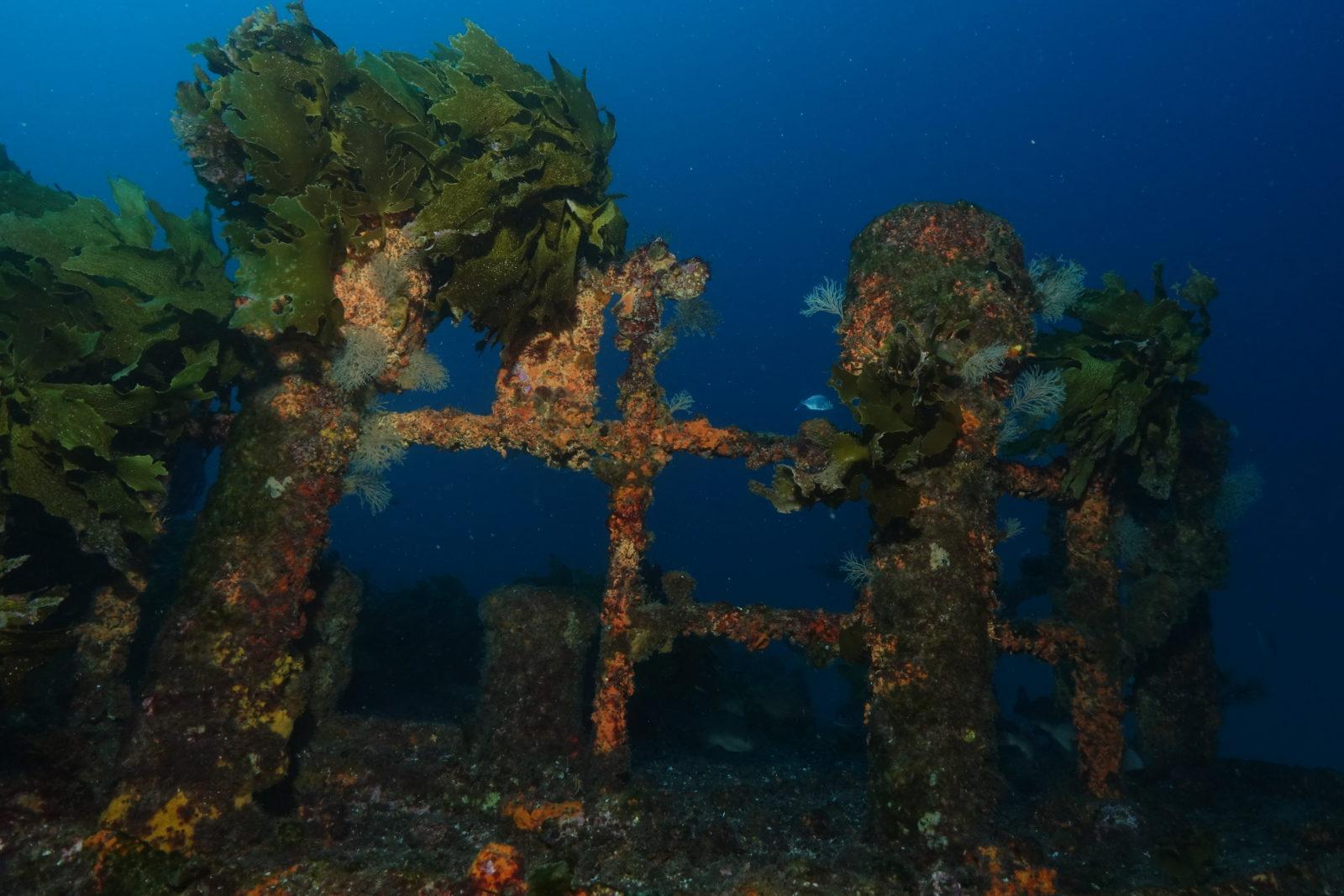 SCUBA DIVING THE MAGNIFICENT RAINBOW WARRIOR