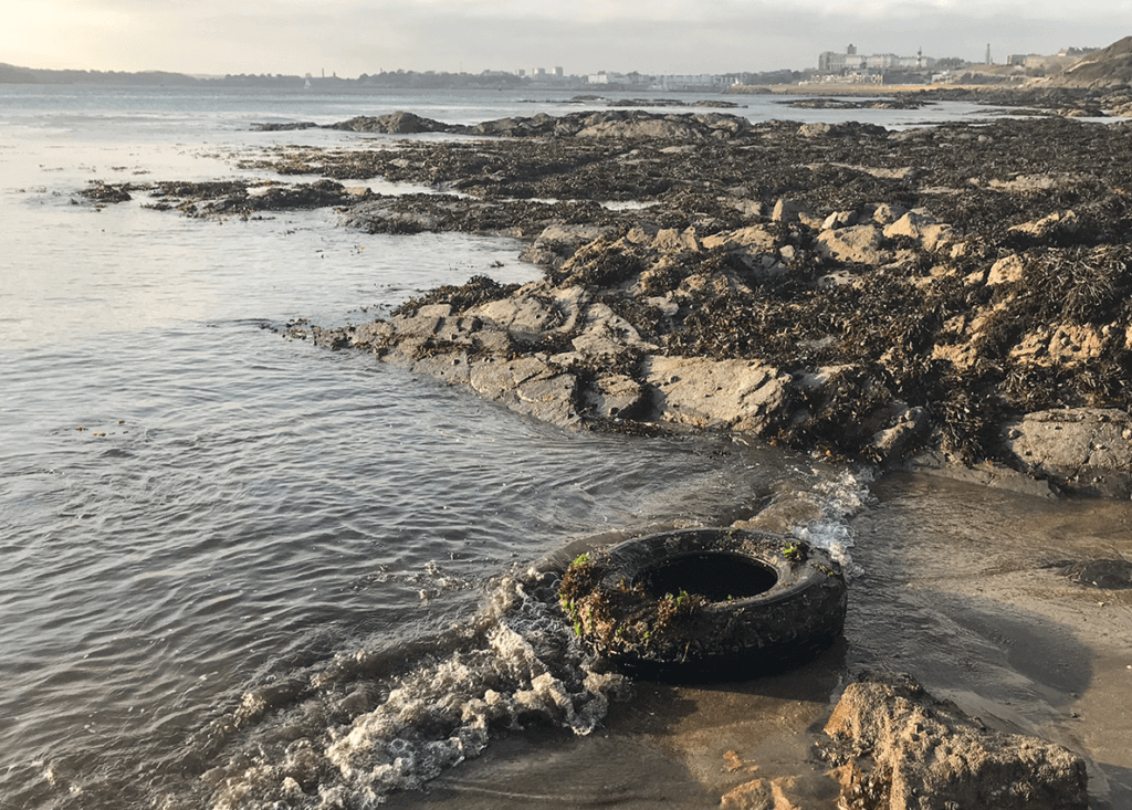 help clear Plymouth Sound of 1,000 tyres and other pollutants