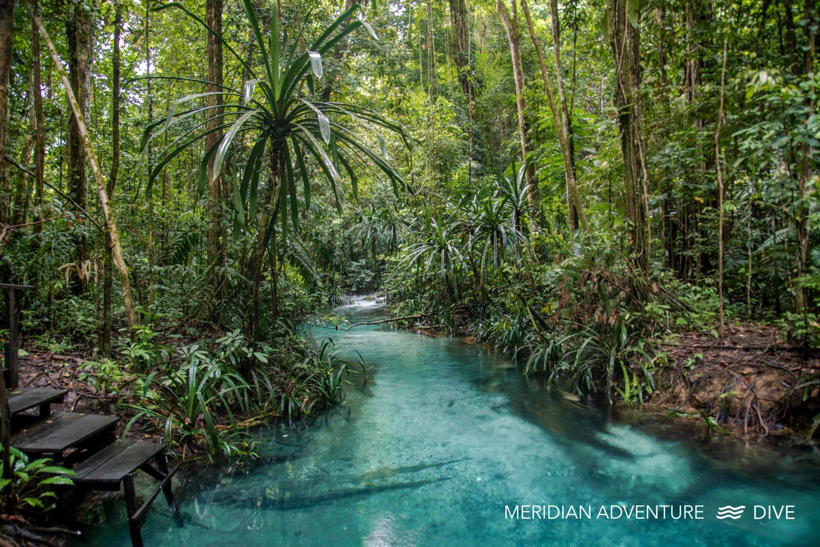 Diving in Raja Ampat - Meridian Adventure Dive