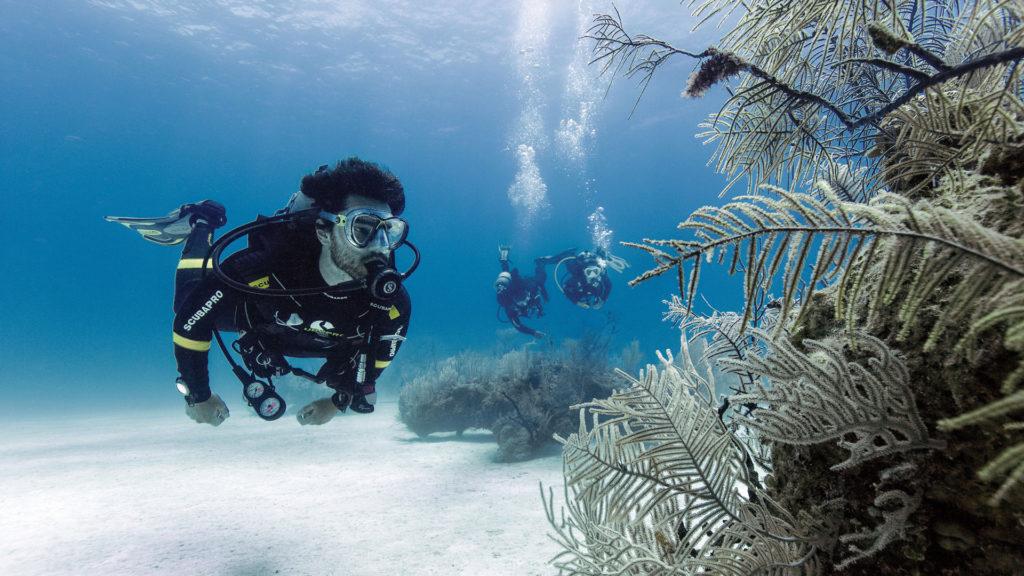 Considerations on diving insurance