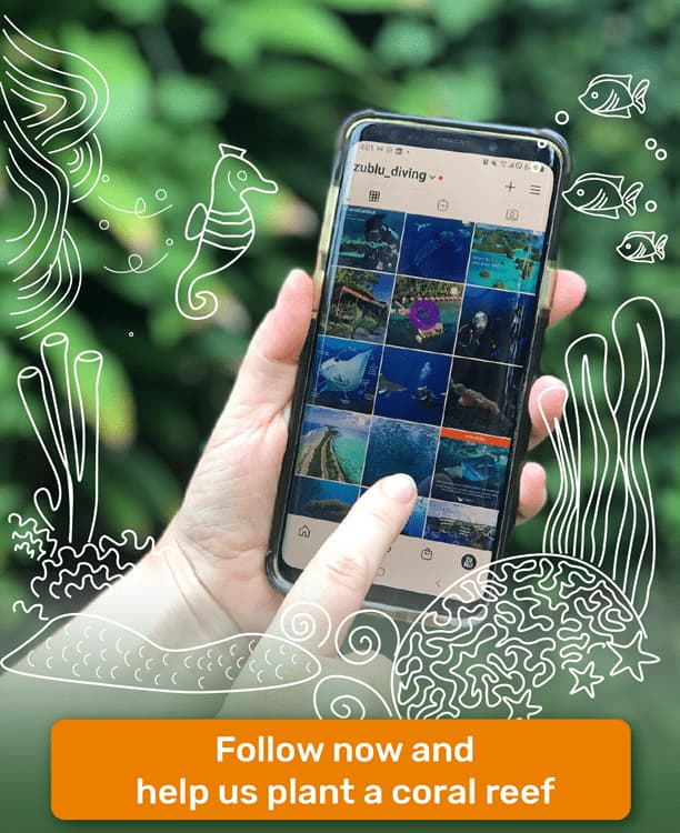 Restore a Coral Reef This Holiday Season 1 Zulu instagam account to help plant a coral reef