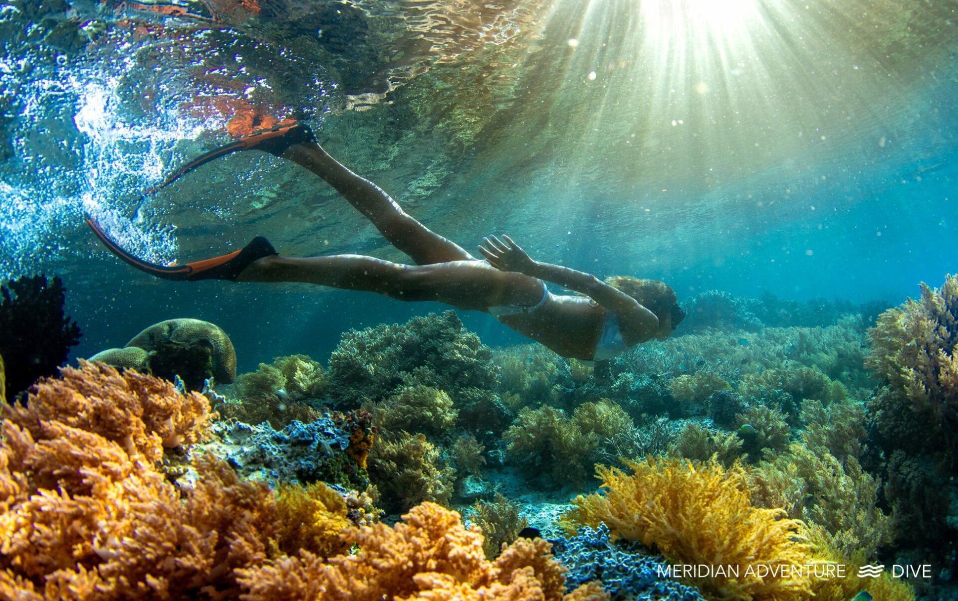 Coral Paradise