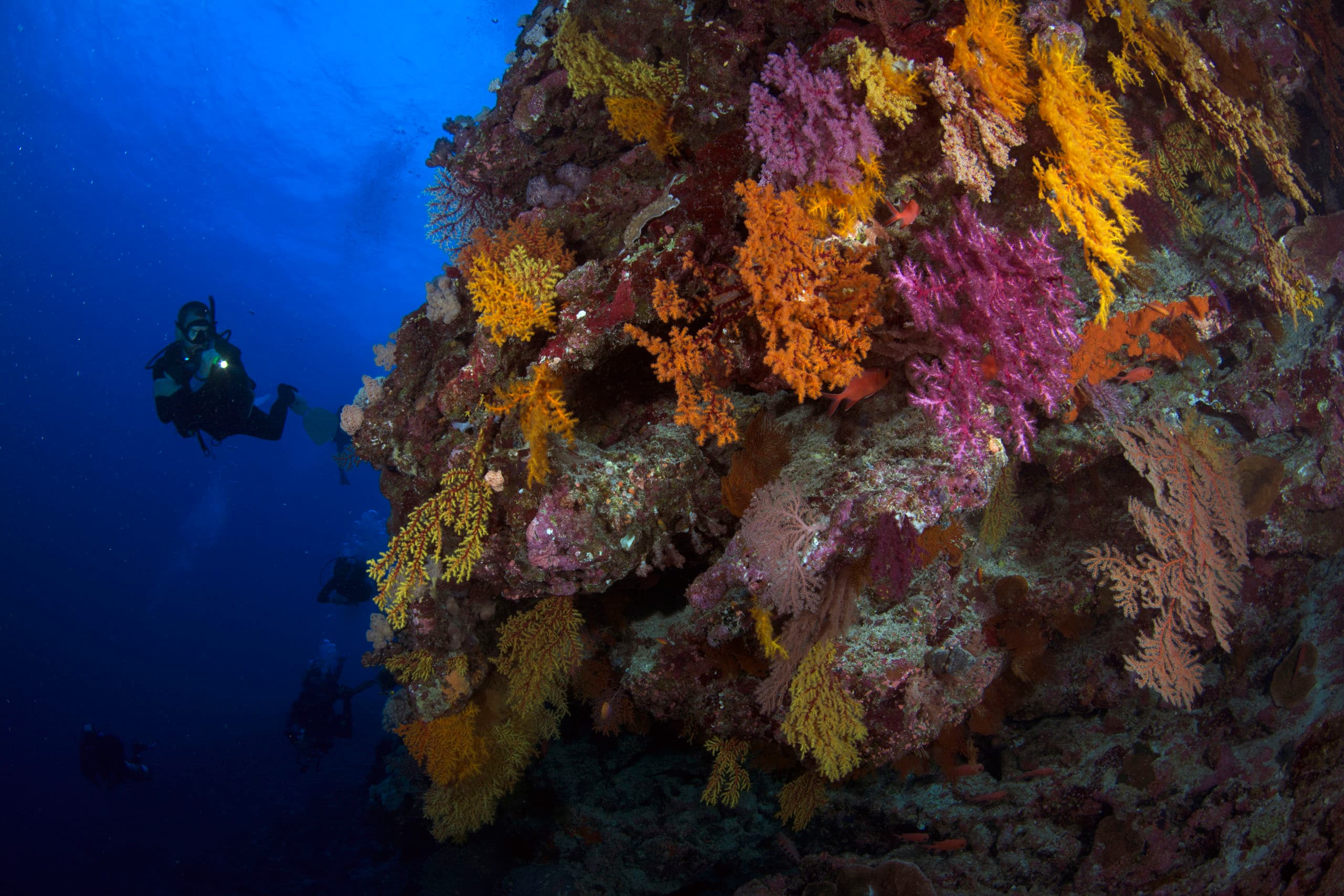 Bougainville reef