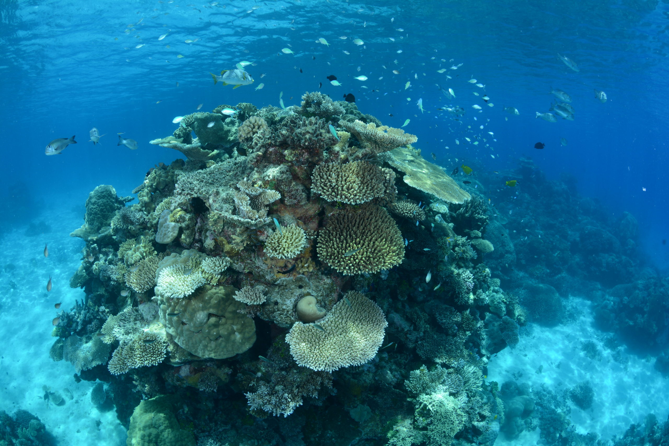 Cairns Gateway to The Great Barrier Reef Part 1