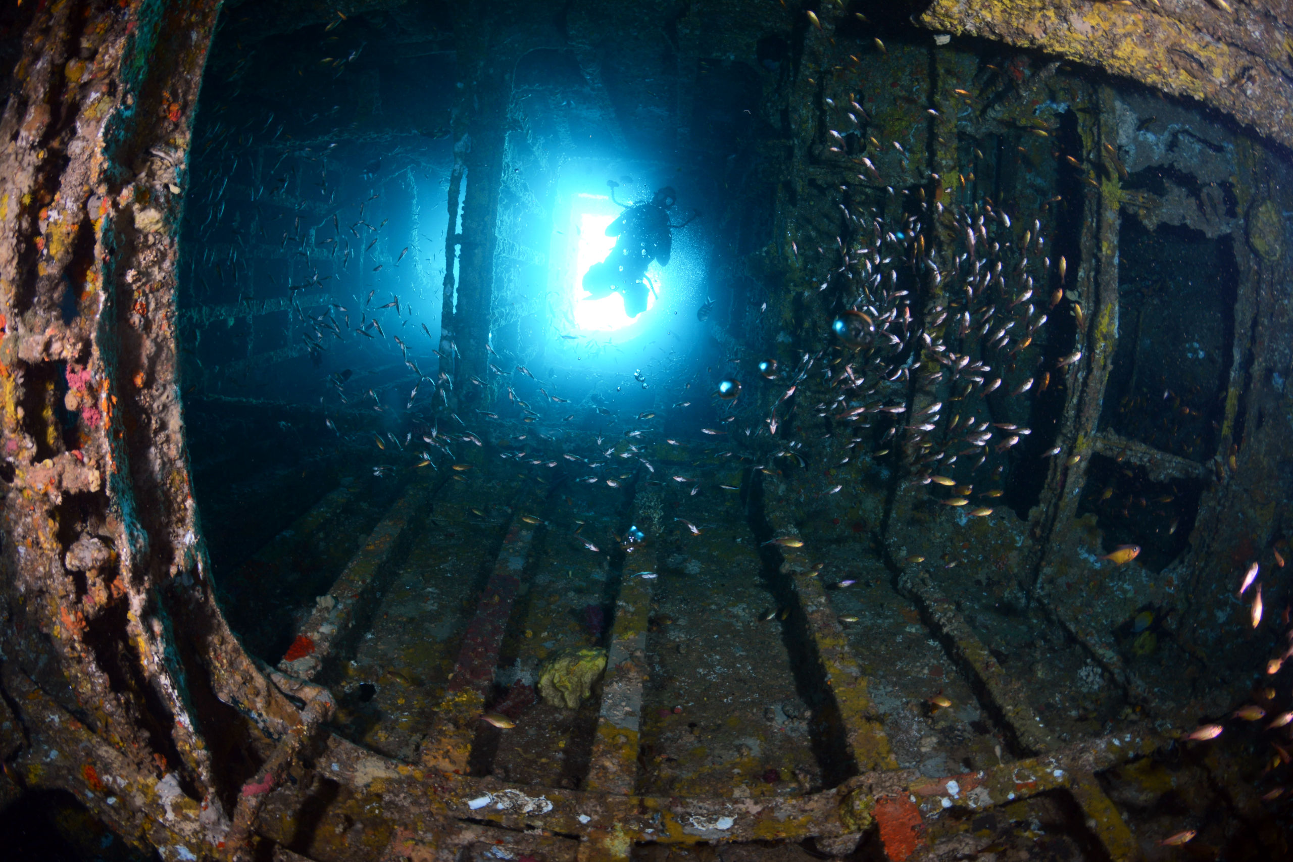 Breathtaking Ex HMAS Brisbane Trip report