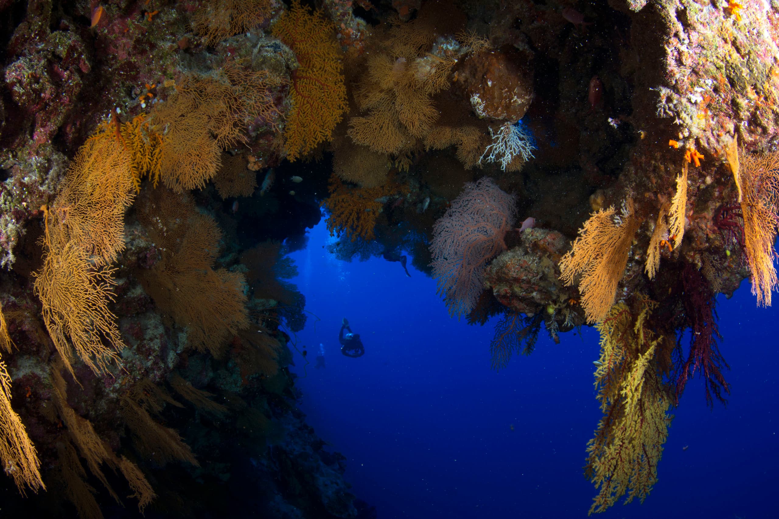 Snaking sandy gullies cut a path through hard coral-encrusted ridges