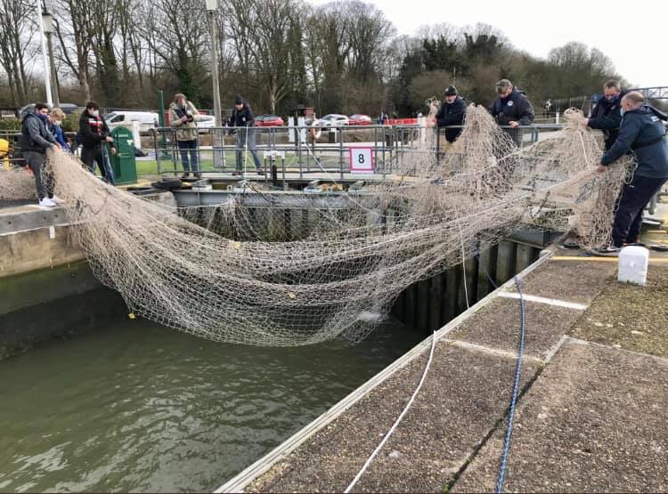 BDMLR aids hook-in-mouth seal in River Thames 3 BDMLR