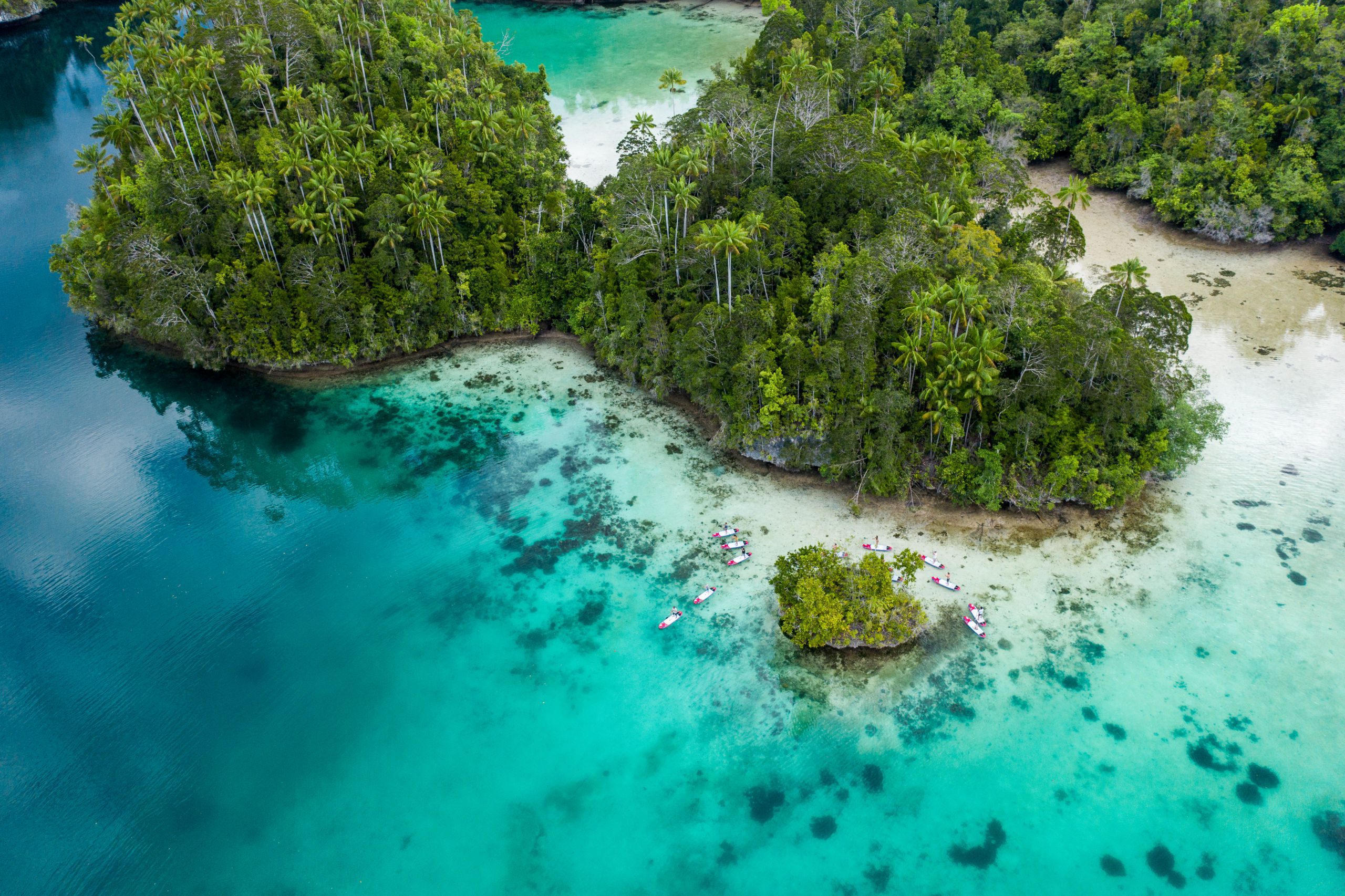 Dive Raja Ampat - Latest Holiday Deals 1 Dive Raja Ampat - Meridian Adventure Dive Holiday Deals