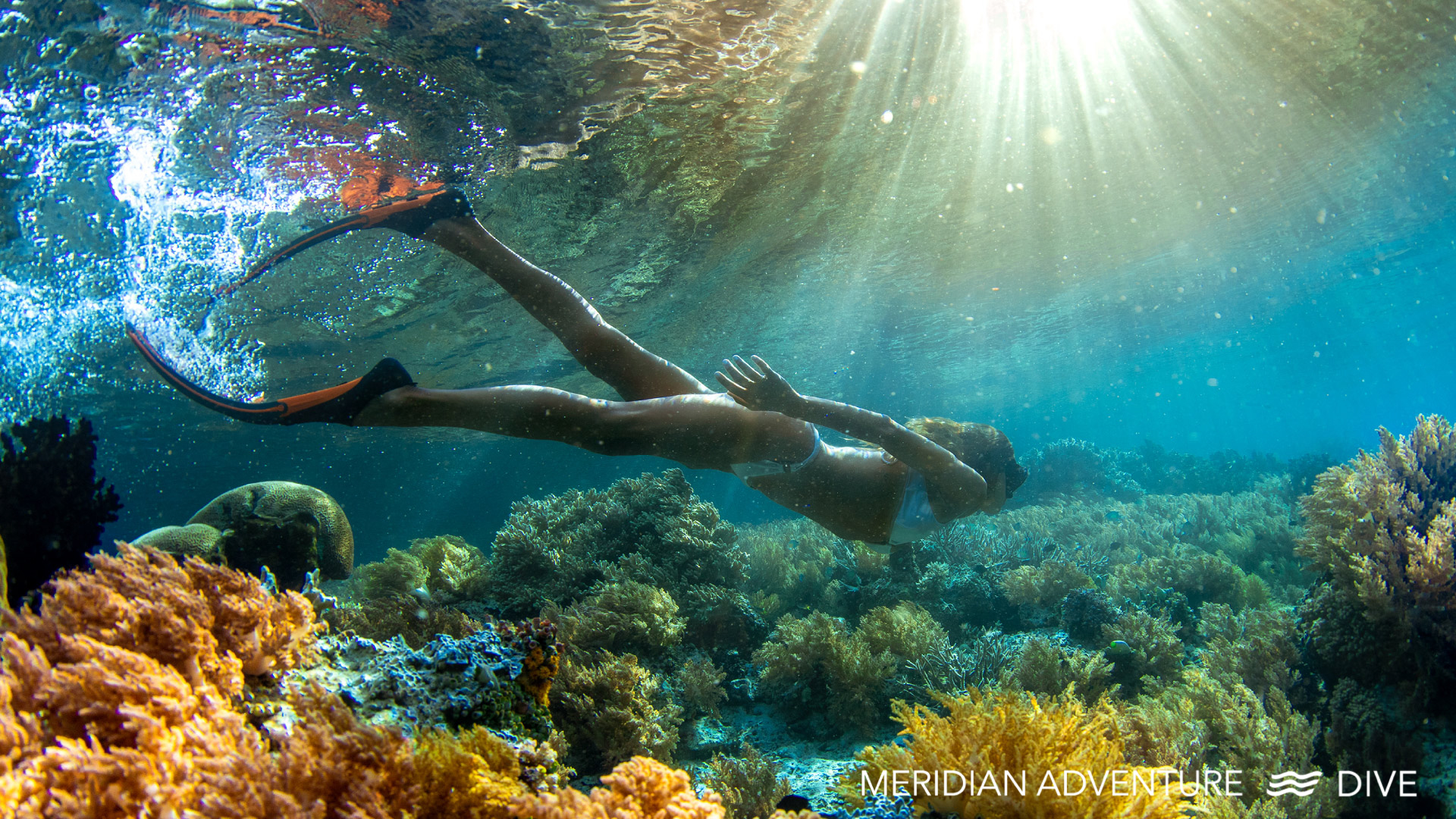 Raja Ampat 7 der Besten