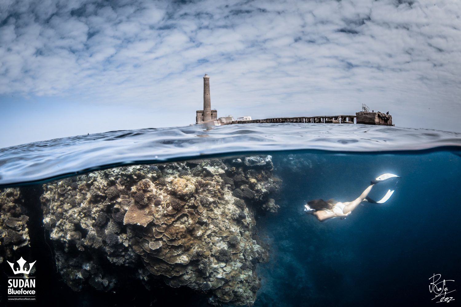 Scuba Diving Sudan Shark Dive Expedition