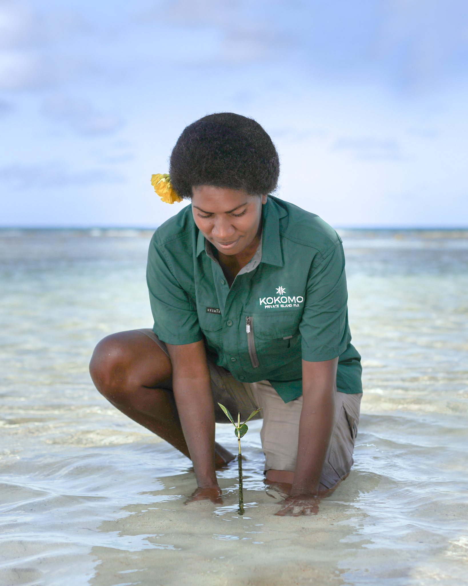 Inspiring Mangrove Reforestation Project