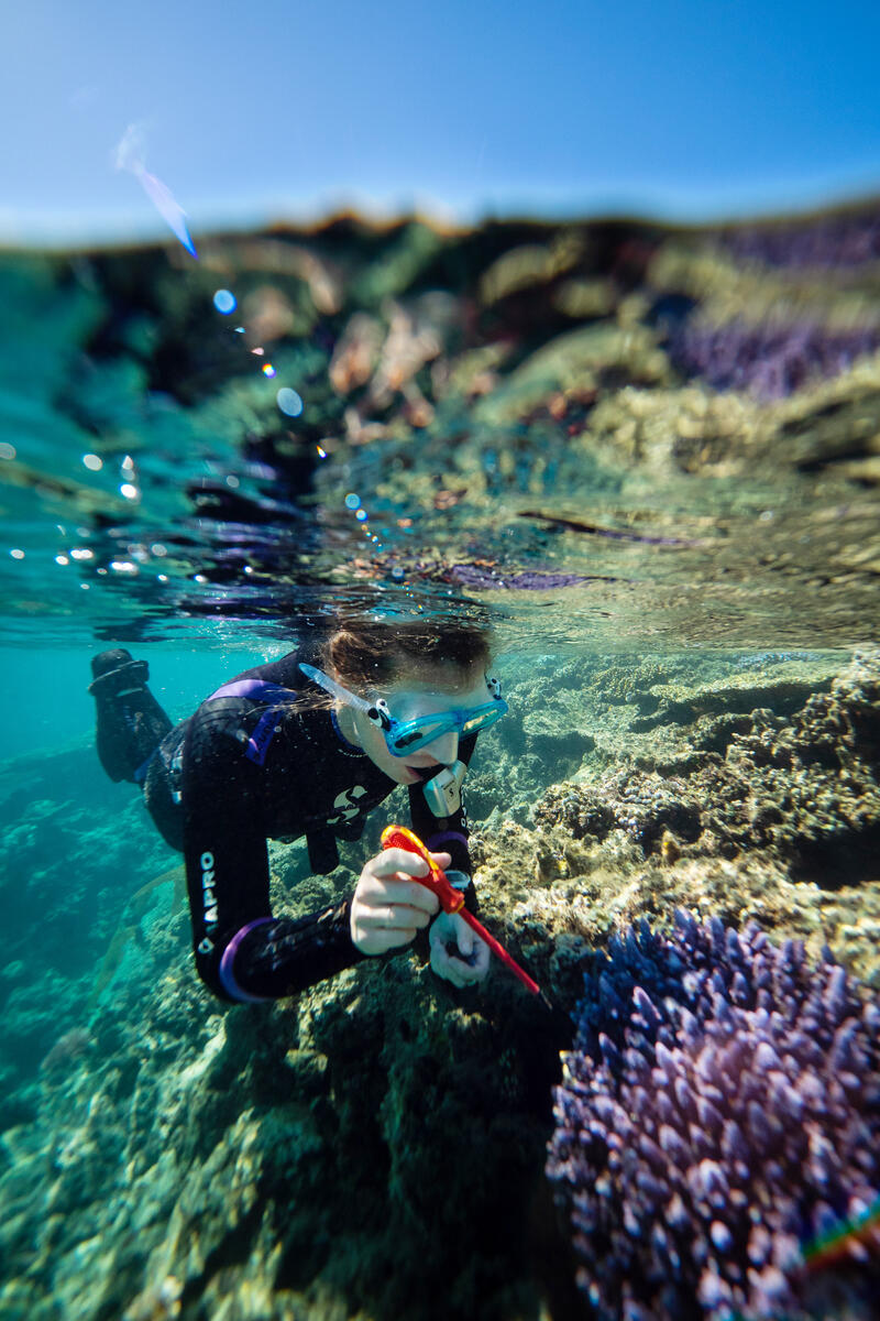 Remarkable Marine Biologist Cliona O’Flaherty