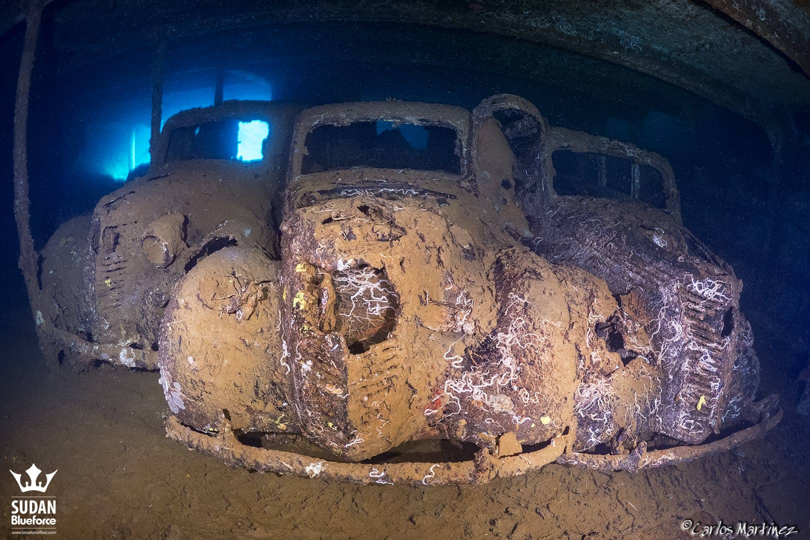 Sudan Diving Umbria Wreck Fiat Lunga