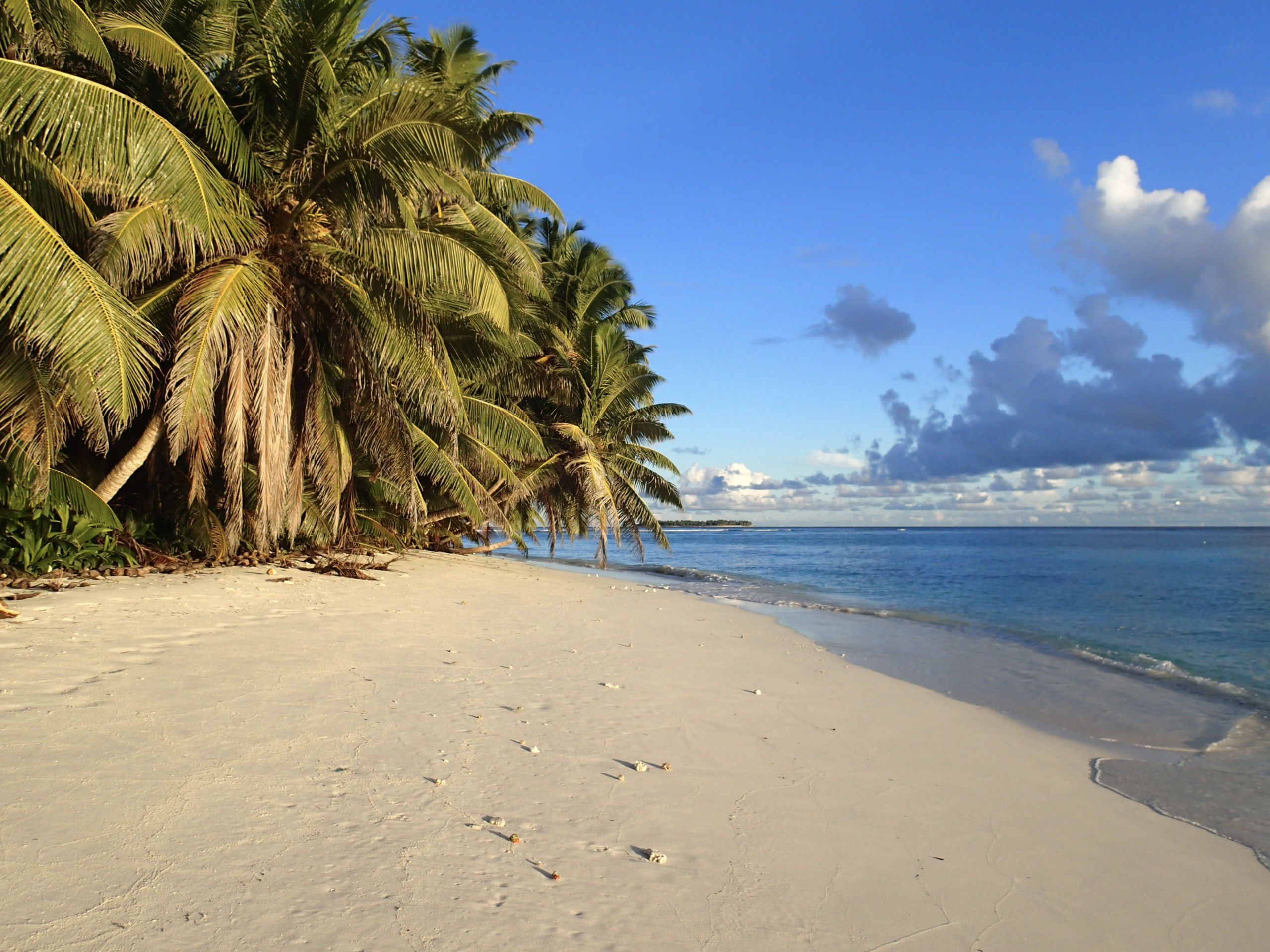 Chagos Archipelago the Last Frontier for Coral Reefs.