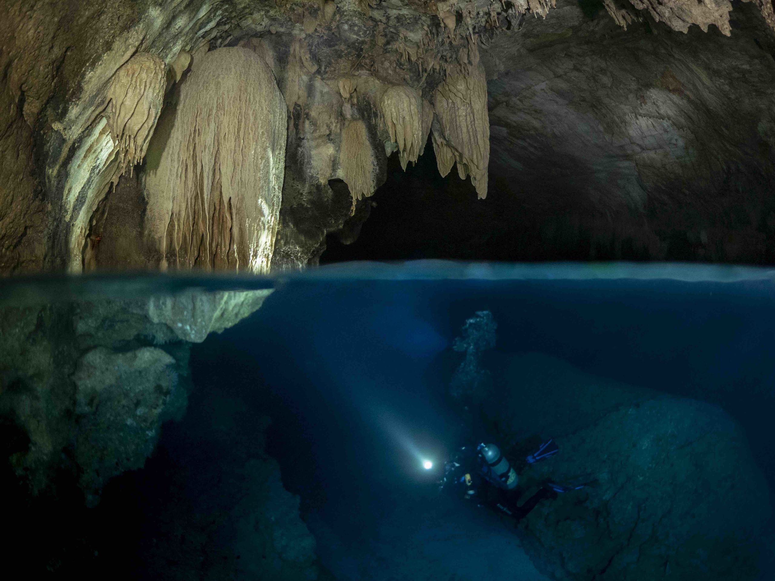 Christmas Island Diving Australia’s Galapagos