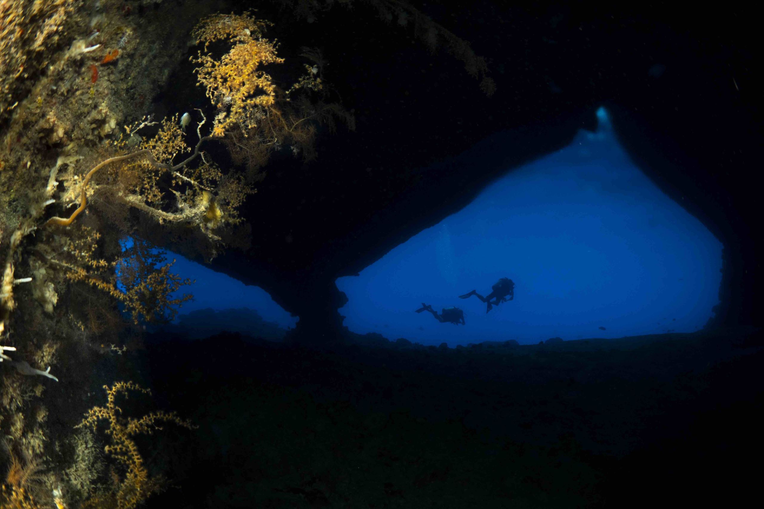 Christmas Island Diving Australia’s Galapagos