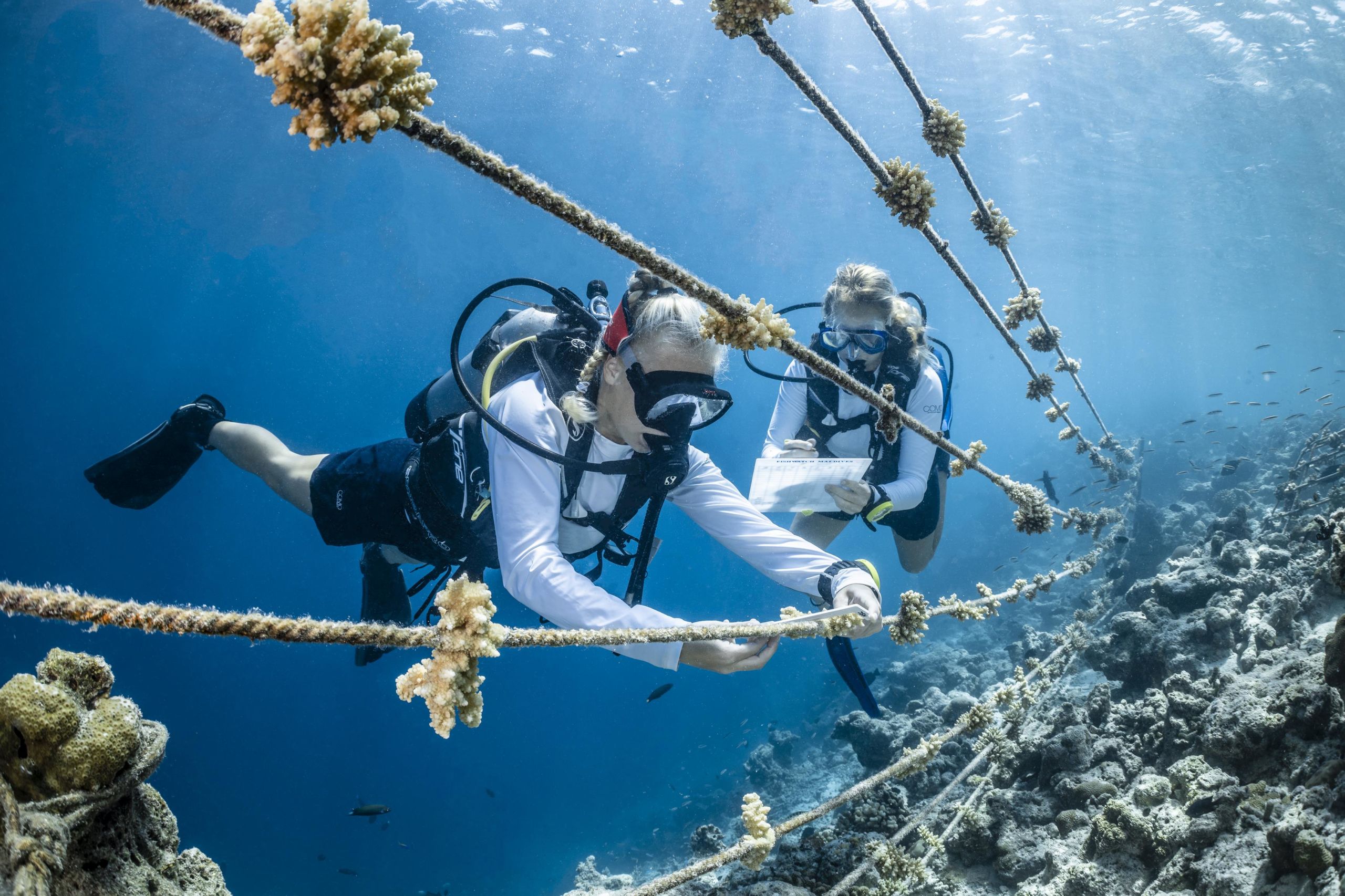 Sustainability Initiatives at COMO Cocoa Island and COMO Maalifushi