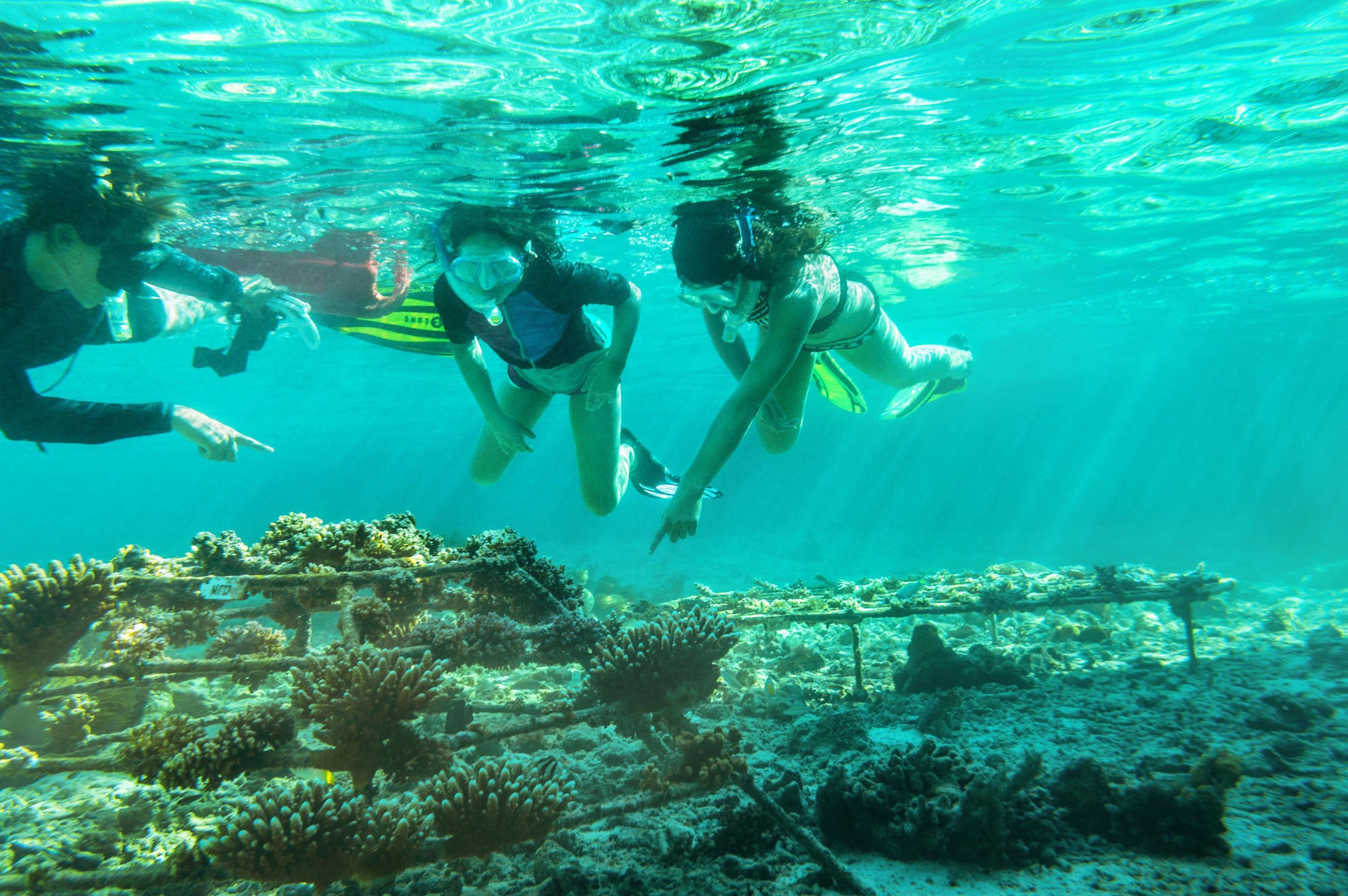 Sustainability Initiatives at COMO Cocoa Island and COMO Maalifushi