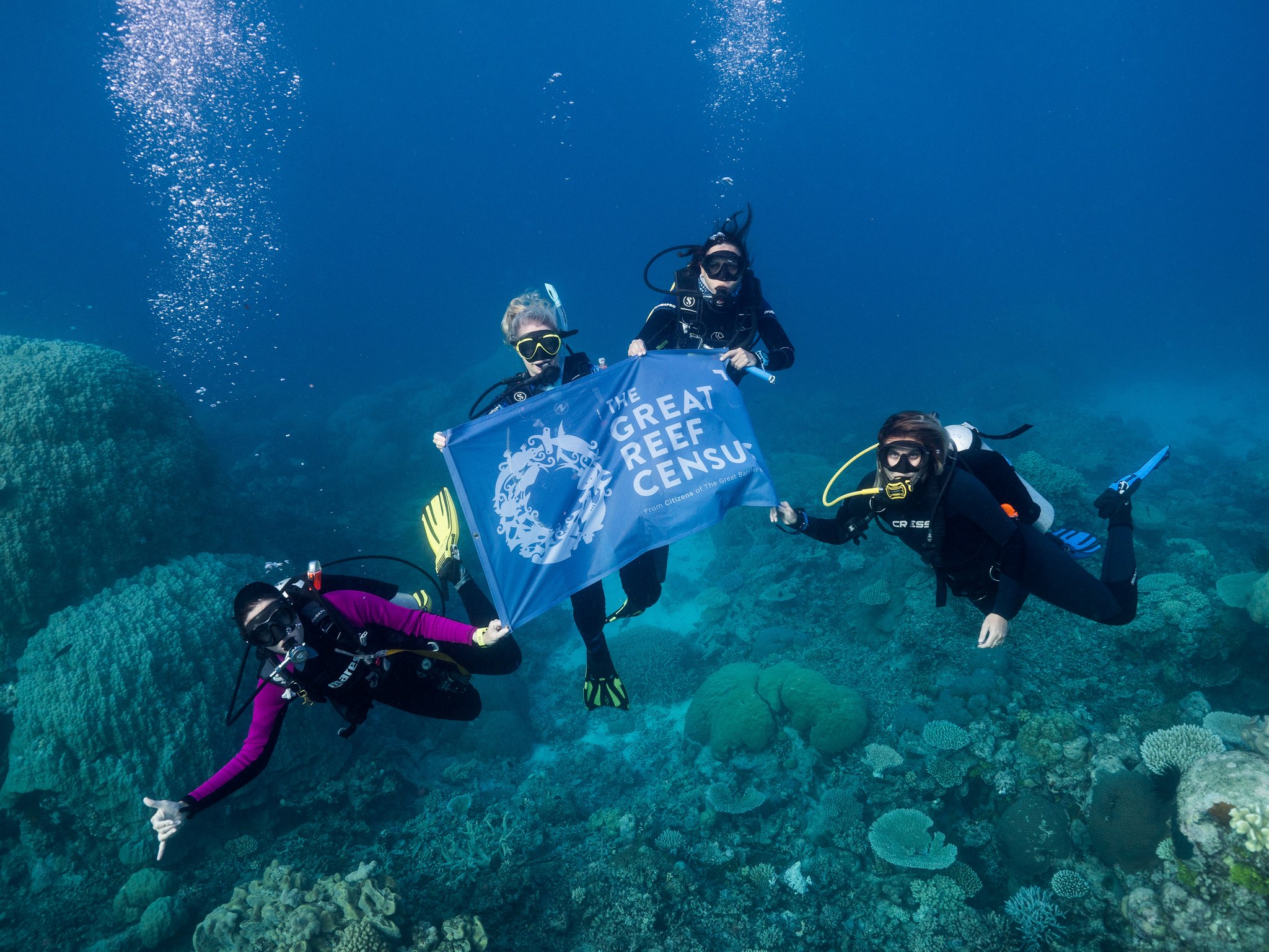 Divers hold Great Reef Census banner during survey expedition on Spirit of Freedom.