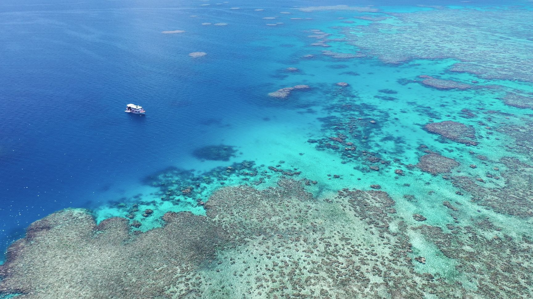 Protecting the Great Barrier Reef 4 Great Reef Census expedition with Coral Sea Foundation on vessel Kalinda.