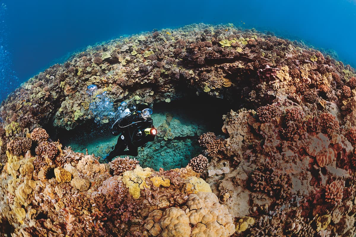 Hawaii Scuba Diving