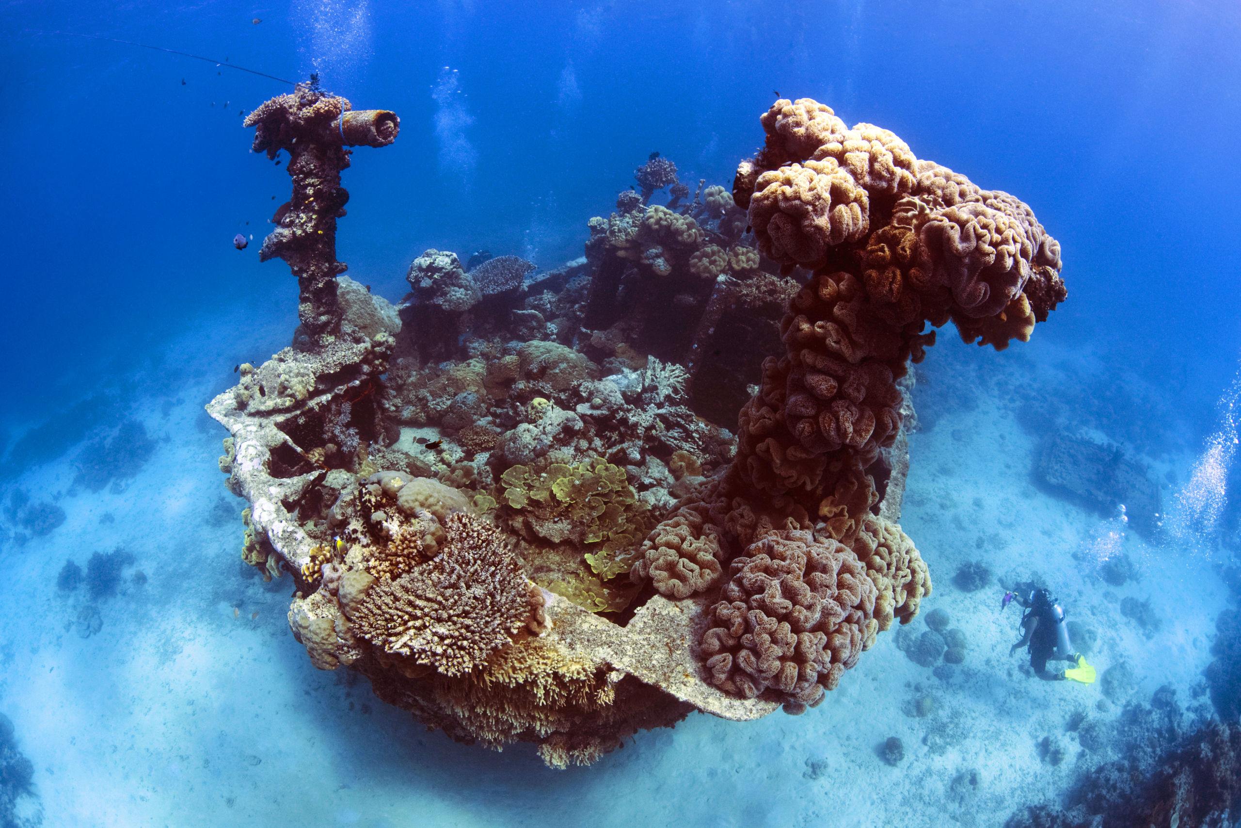 Scuba Diving at Apo Reef National Park 4 Small Shipwreck by Dyun Depasupil