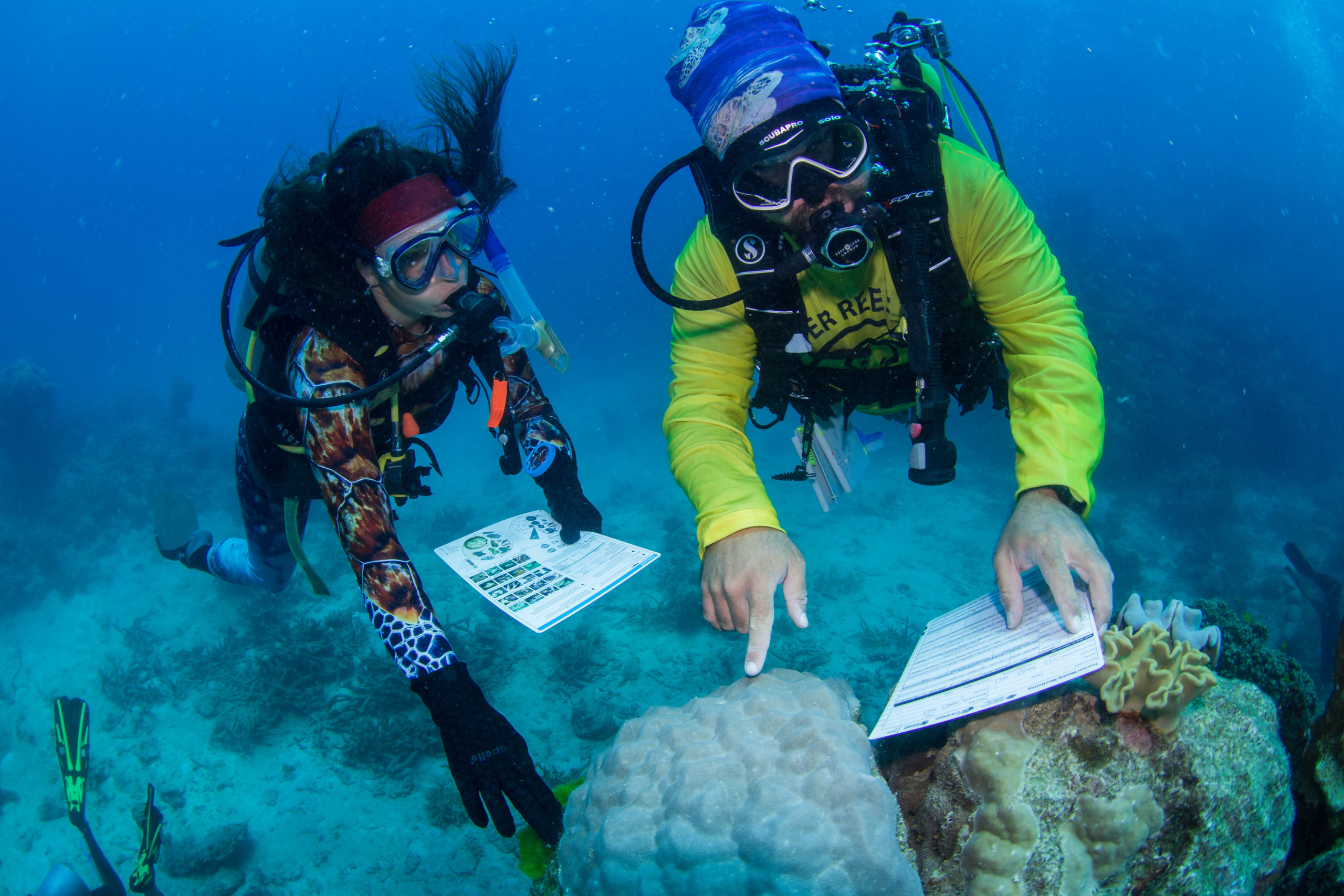 Cairns and the Great Barrier Reef