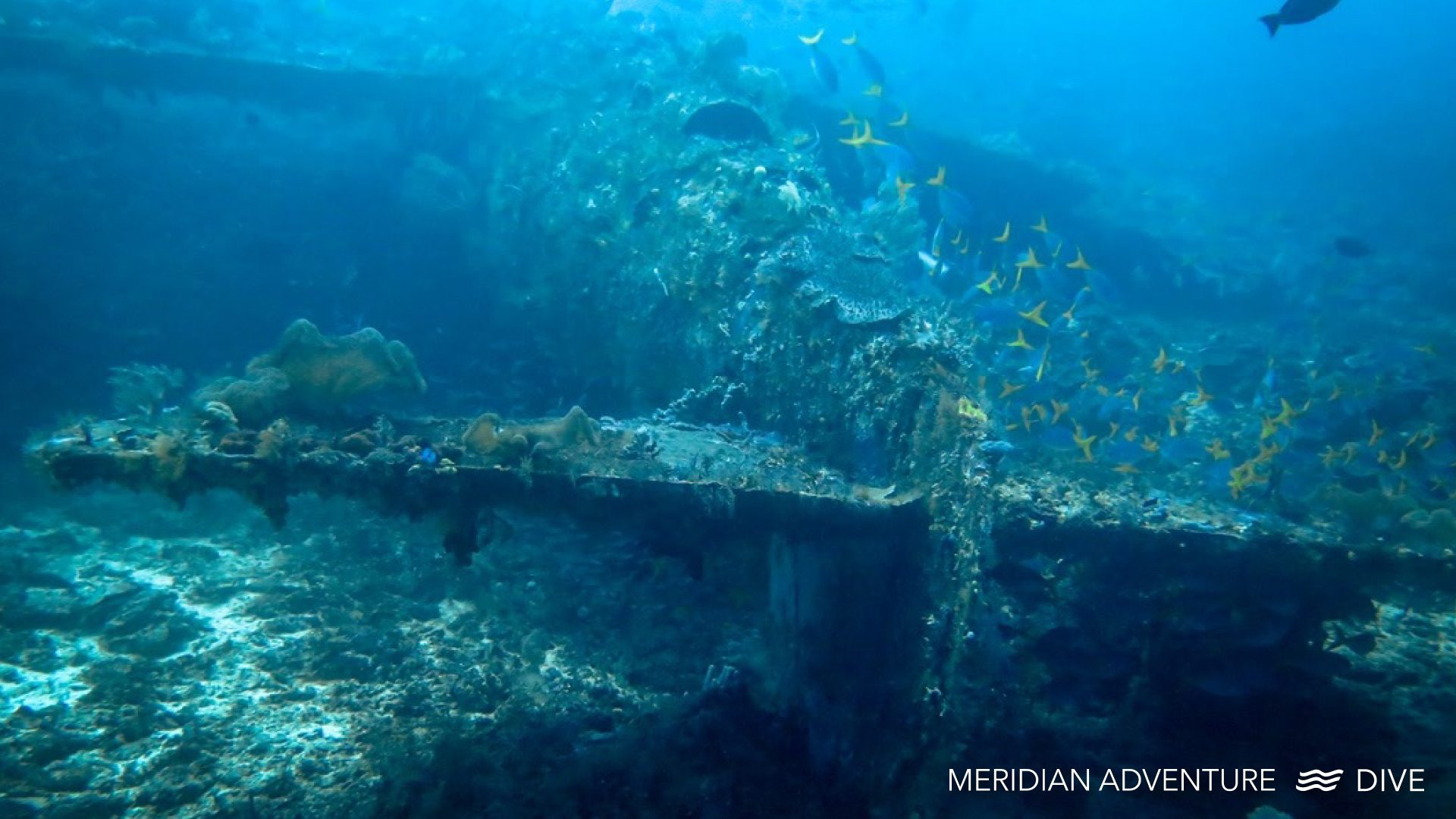 Dive An Underwater Plane Wreck