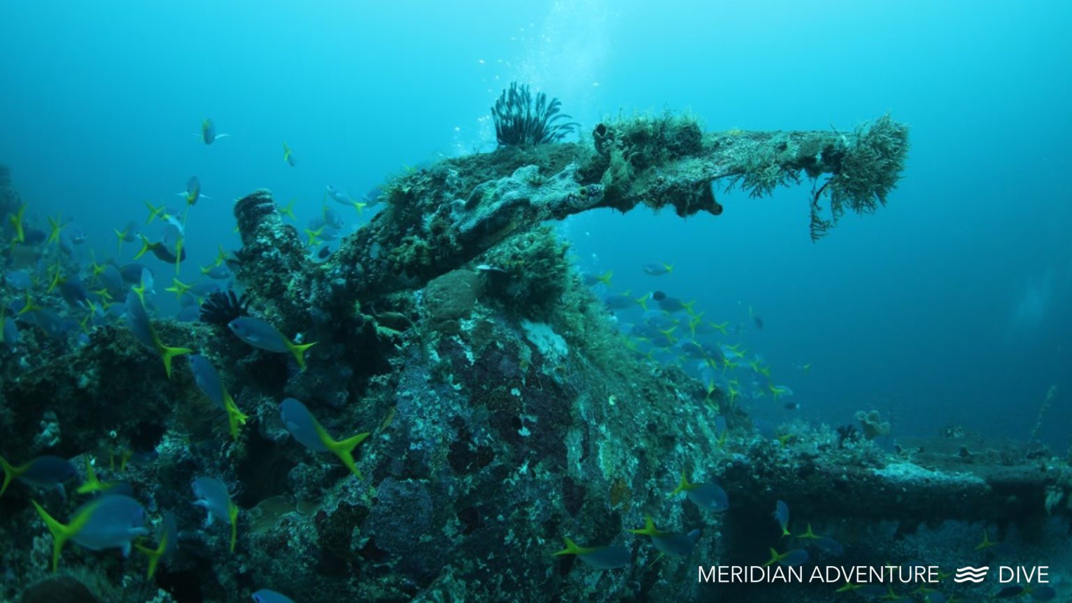 Amazing P47 WW2 Plane Wreck