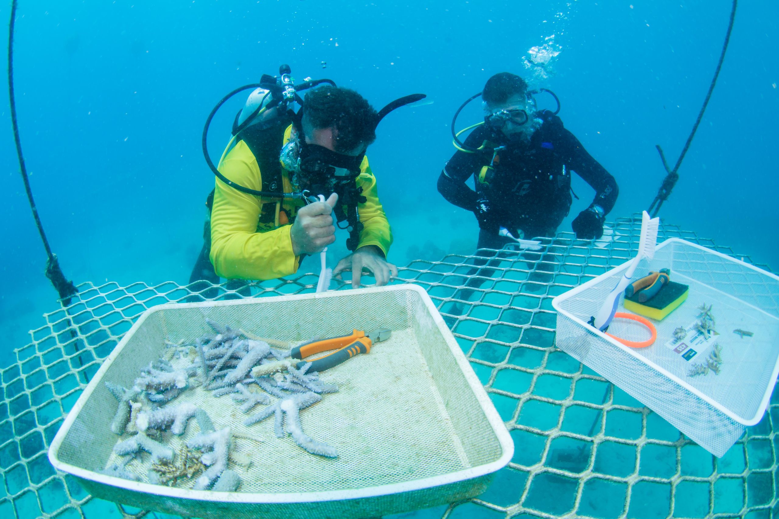 Citizen Science Tour