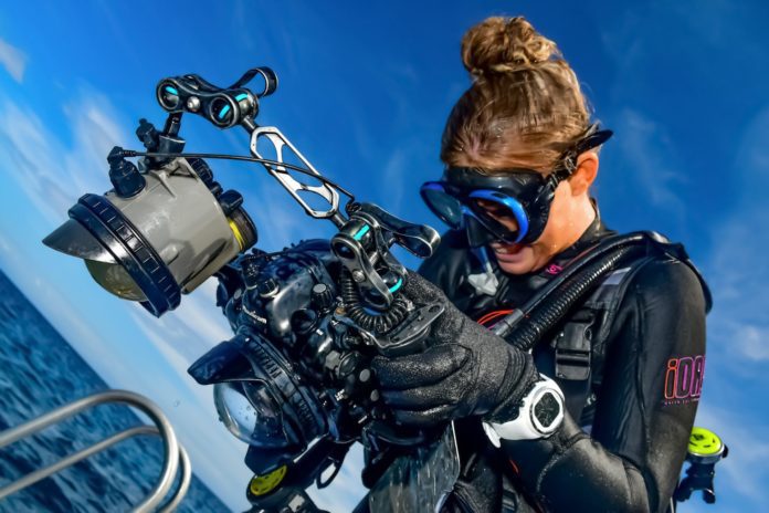 Underwater photographer Best Job in the World