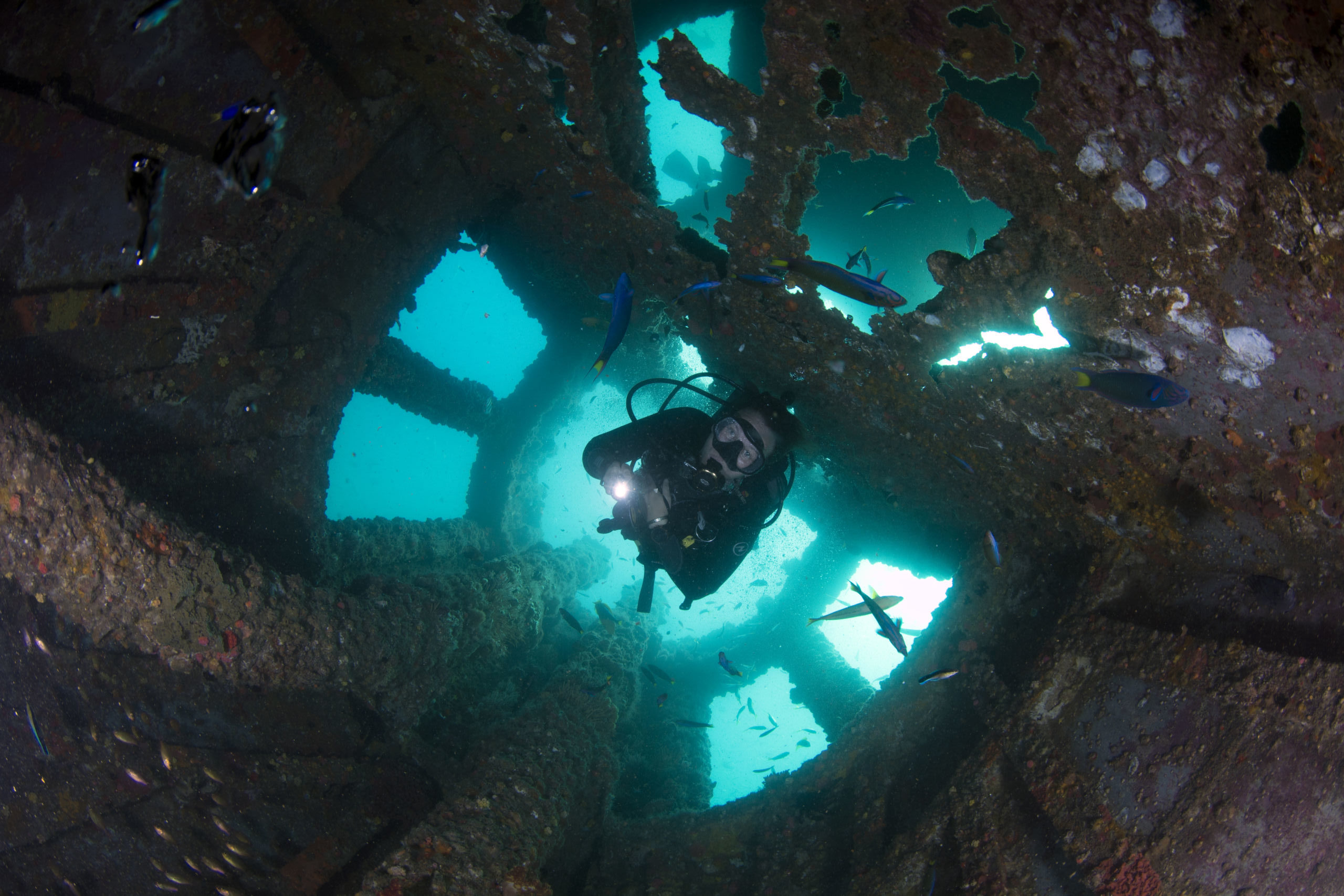 Fantastic EX-HMAS Brisbane