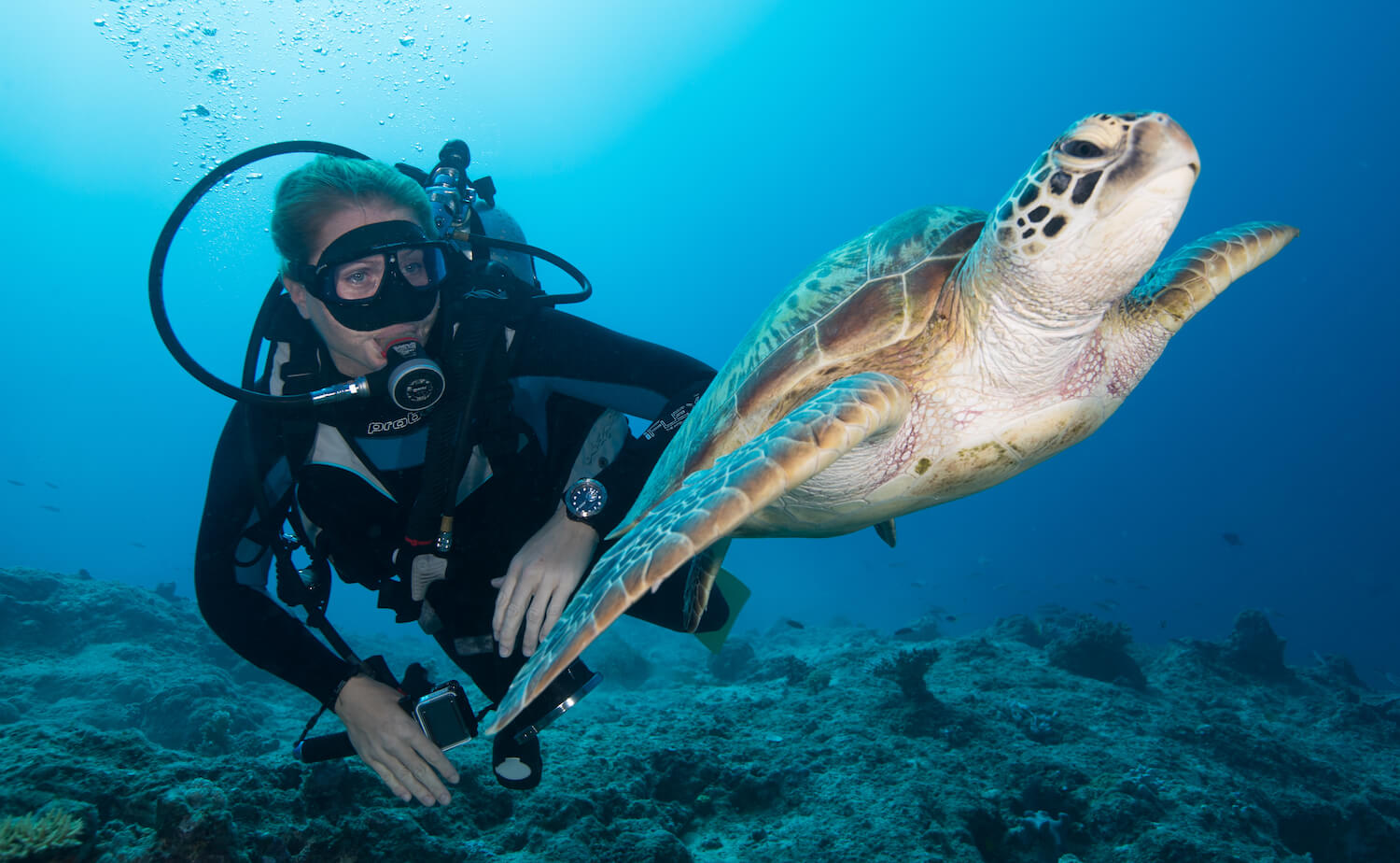 Unique Dreamtime Dive and Snorkel