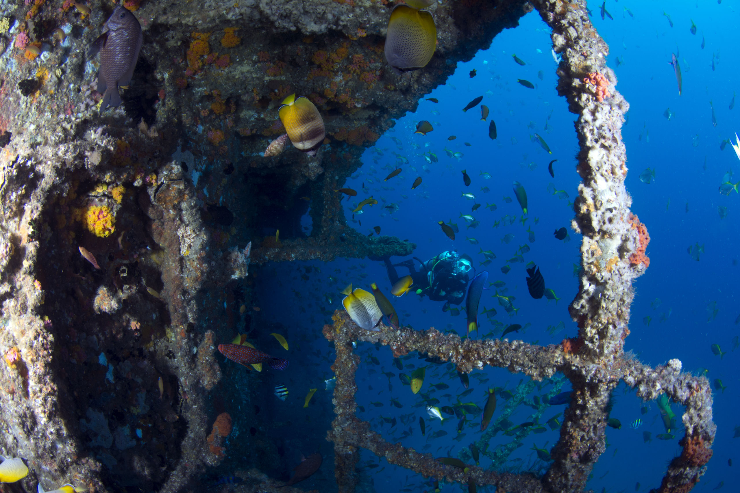 Fantastic EX-HMAS Brisbane