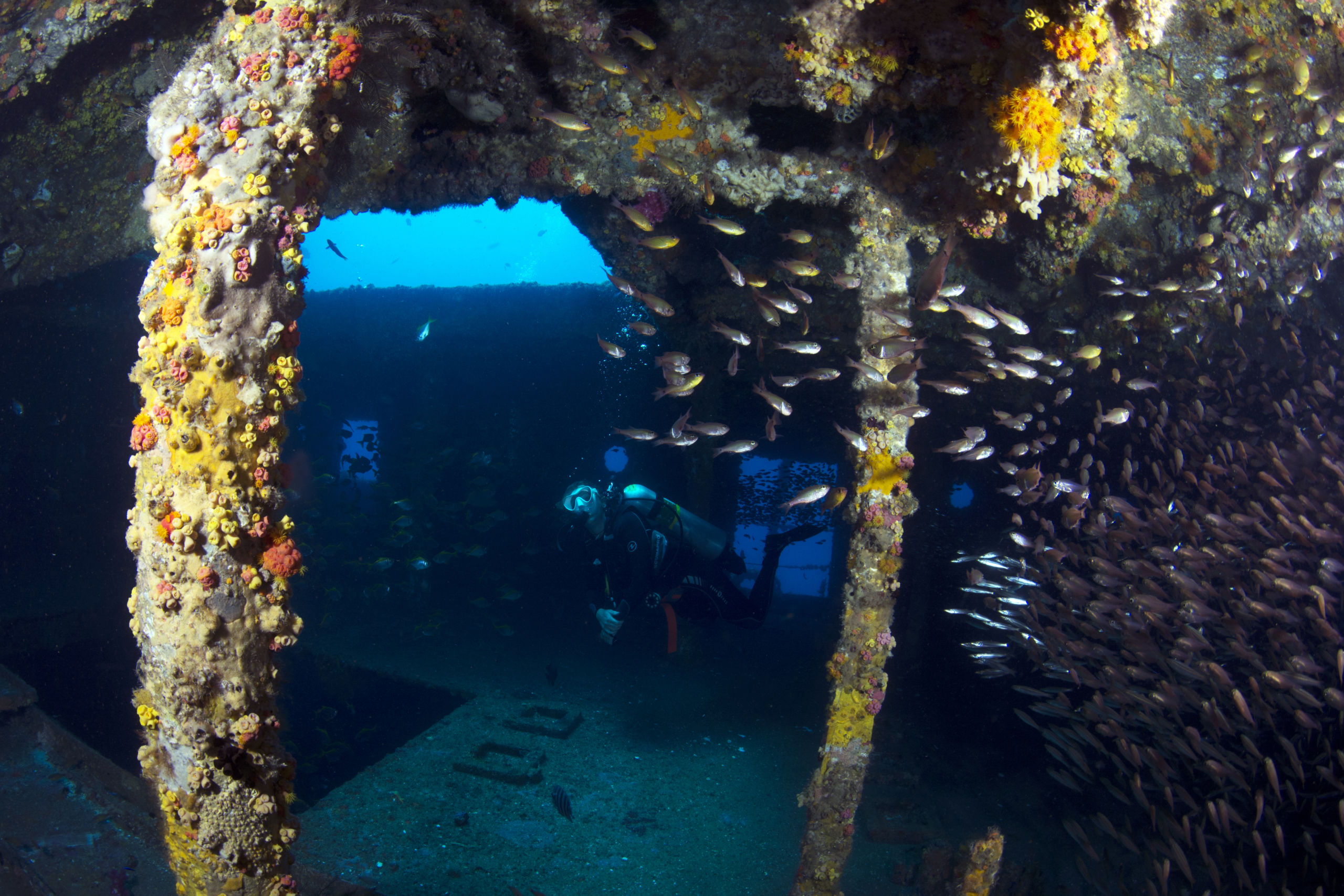 Fantastic EX-HMAS Brisbane