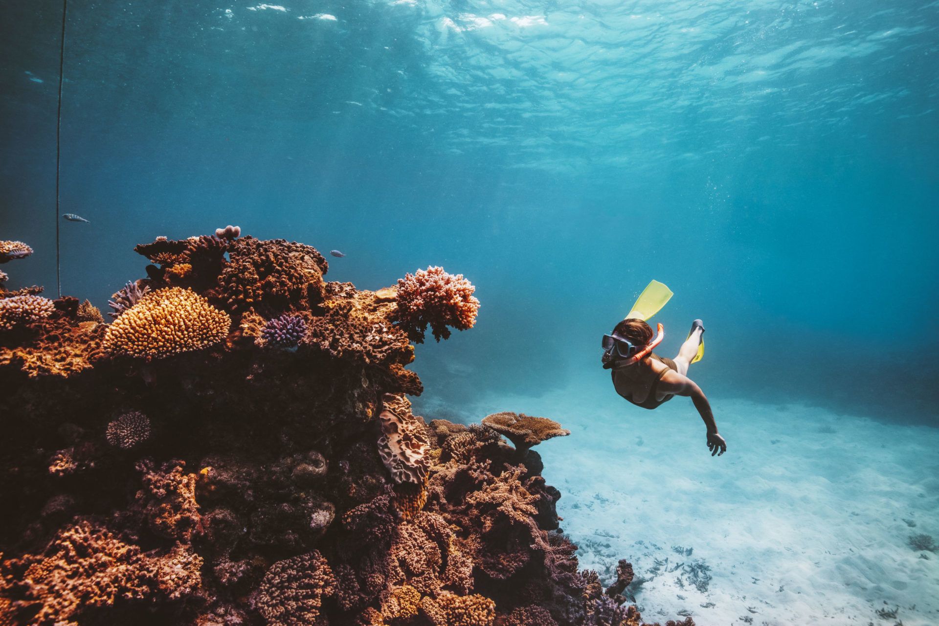 Unique Dreamtime Dive and Snorkel
