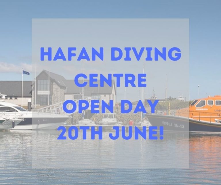 Hafan Marina Dive Centre